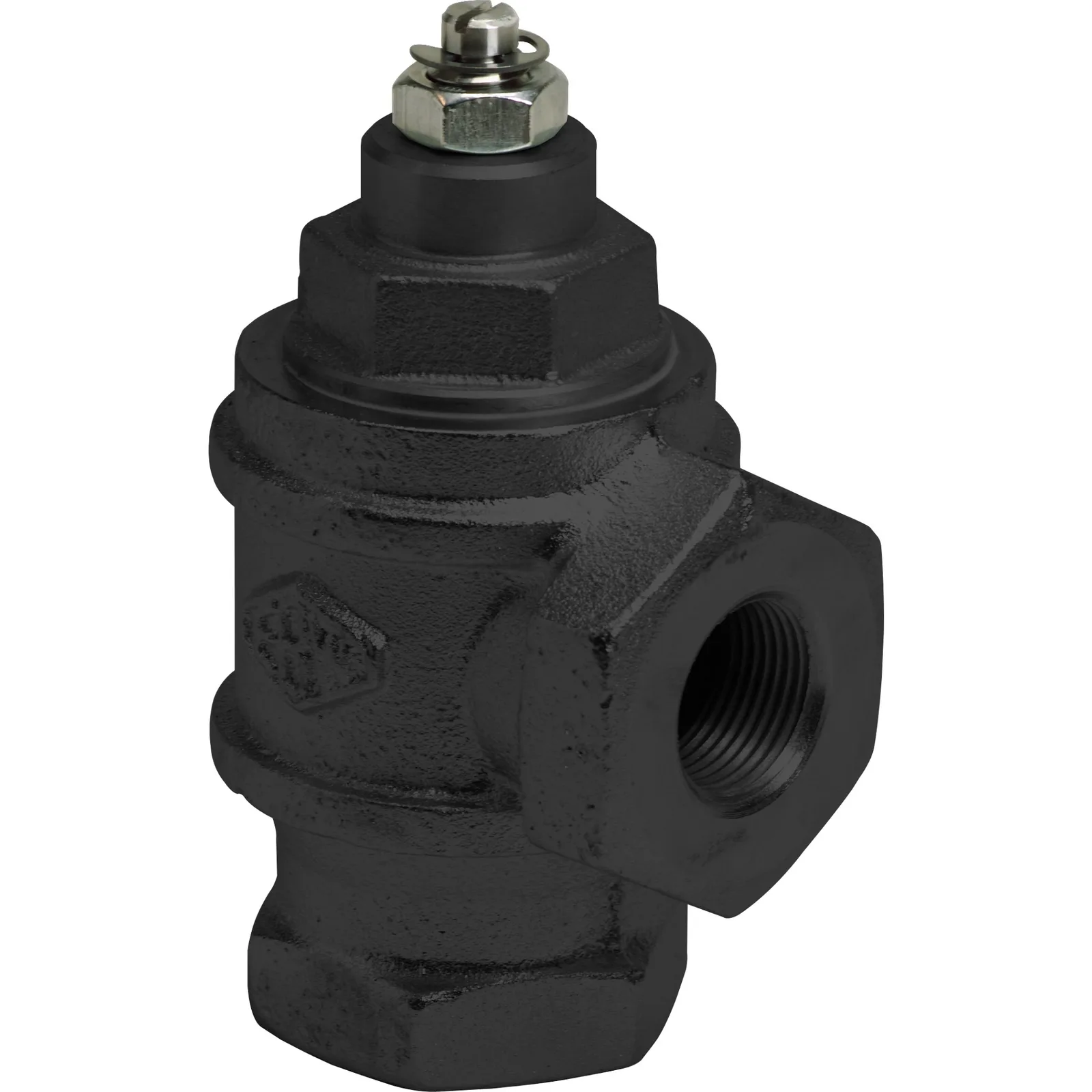 Franklin Fueling Systems EBW anti-syphon valve