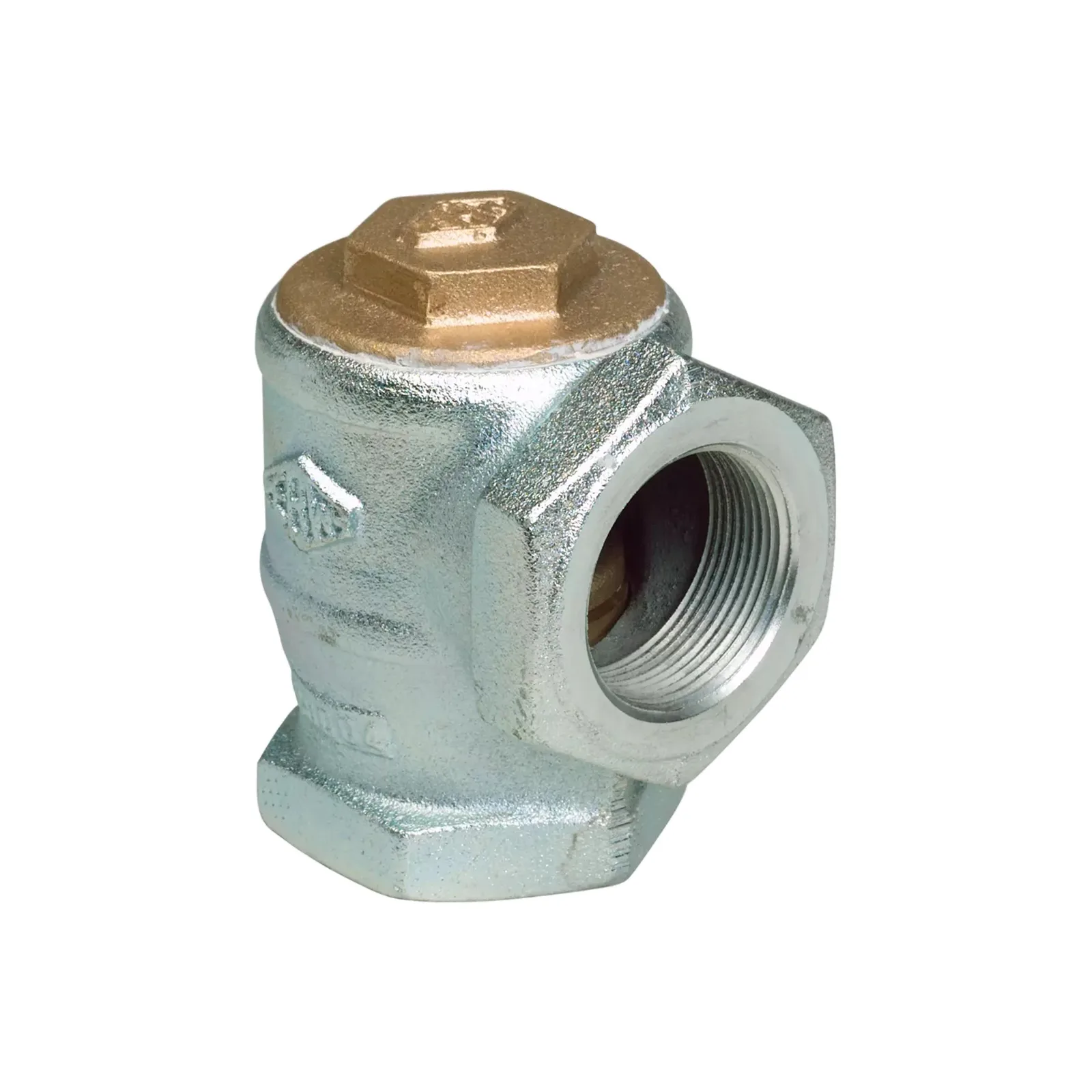 Check, foot and isolation valves, Franklin Fueling Systems