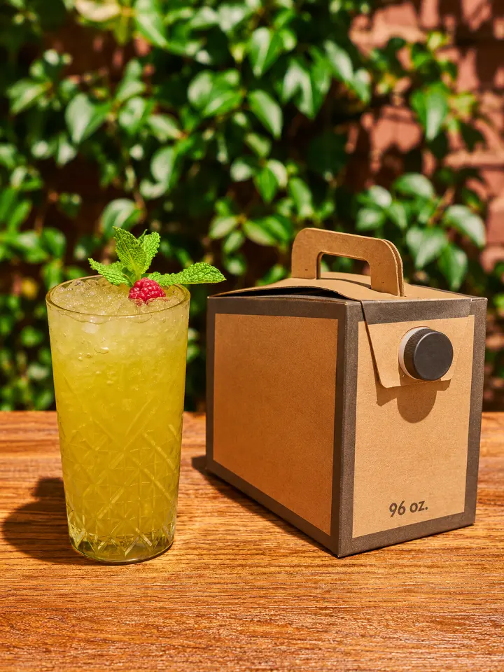 Mint Lemonade Traveler