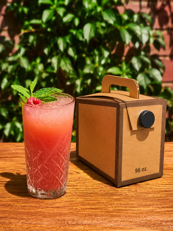 Raspberry Lemonade Traveler