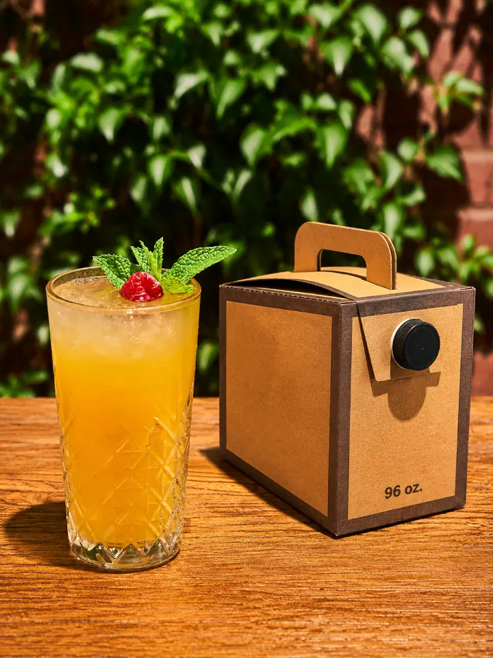 Cantaloupe Pineapple Traveler